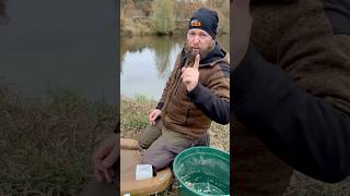 Ultimativer Tipp zum angeln auf Quappe angeln fishing [upl. by Tevis]