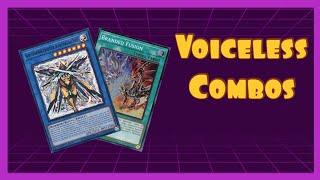 Voiceless Voice Combo Guide PostLEDE [upl. by Nnylarak]