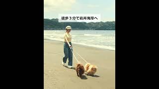 愛犬とくつろぐ温泉と美食のホテル「DANQOO」（ダンクー） [upl. by Nanis51]