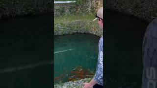 I Found an Abandoned Pet Store abandoned pet animal fish rescue bassfishingproductions [upl. by Hulbig695]