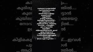 Attirambilshortvideo malayalamsonglyrics shortfeed [upl. by Rubel746]