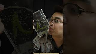 🐸🌿 asmr drinkasmr drink [upl. by Norton]