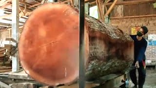 The beauty of the work process in the Giant Mahogany Sawmills [upl. by Thurber]