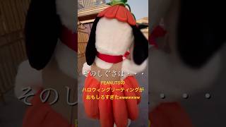 【USJ】ルーシーvsスヌーピーのハロウィングリーティングの巻🎃wwusj usjハロウィン スヌーピー shortsvideo [upl. by Notffilc]