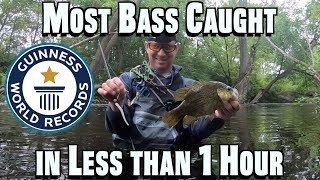 The Most Bass Ever Caught in 1hour  Guinness World Record it could be [upl. by Ebehp]