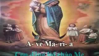 Ave Maria con dang loi chao Me [upl. by Hafler]