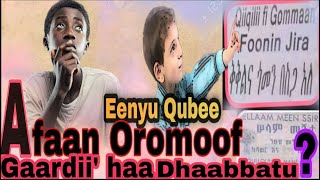 Eenyutu Qubee Afaan Oromoof GAARDII Dhaabbachuu qaba [upl. by Maroj]