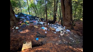 Pogonip Nature Loop Trail Encampment Clean up [upl. by Nahgen]