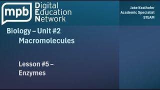 MPB Biology Unit 2 Lesson 5 Enzymes [upl. by Hollington56]