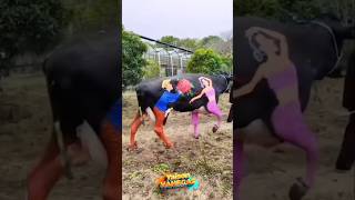 Cuando la vaca se disfraza funny comedy humor shorts vacas [upl. by Aniv]