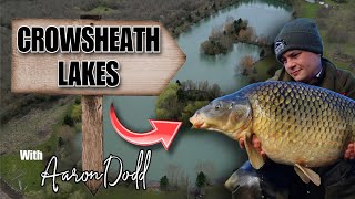 CARP FISHING  Crowsheath Lakes  Essex with Aaron Dodd [upl. by Christmann]