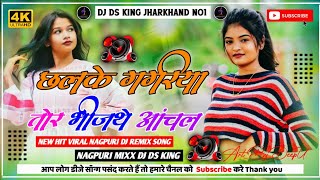 CHHALKEGAGRIYATORBHINJTHEANCHAL NETHETHNAGPURDJREMIXSONG2024 DJDSKINGJHARKHAND [upl. by Trepur]