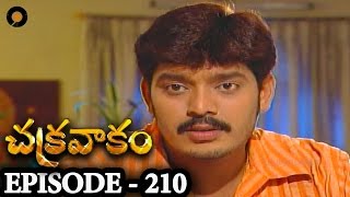 Episode 210  Chakravakam Telugu Daily Serial [upl. by Shyamal]