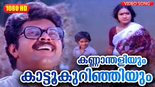 കണ്ണാന്തളിയും കാട്ടൂകുറിഞ്ഞിയും  Anubandham  Malayalam Film Song  Mammootty [upl. by Colbert668]