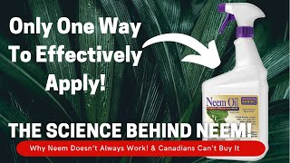 Why Neem Oil Doesn’t Always Work The Science Of Neem Oil For Plants amp Soil  Scientist Explains [upl. by Oriole]