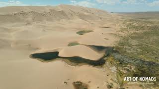 MONGOLIA  KHONGOR SAND DUNES  AMAZING GOBI DESERT  4K  ART OF NOMADS  2021 [upl. by Viquelia]