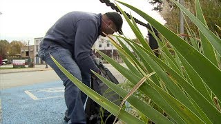 Indiana Police Chief Decides to Clean Up Town After He Was Put on Administrative Leave for Unknown R [upl. by Mizuki166]