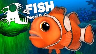 Oceans Largest Clownfish  Feed and Grow Fish Gameplay [upl. by Yecniuq]