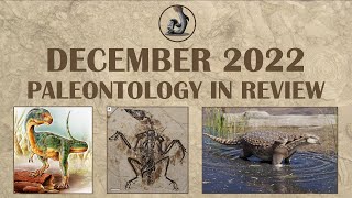 New Fossils and Finds of Dec 2022 [upl. by Ash]