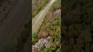 Conquer Newtyle Hill Dunkeld A Breathtaking Uphill Adventure with Drone Views dunkeld drone [upl. by Ahsinwad]