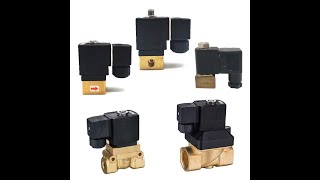 Burkert Type Brass Solenoid Valve 6011 6013 6014 6213 5404 0212 6027 5407 24VDC 24VAC 110VAC 220VAC [upl. by Eannej]