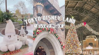 〖Vlog〗ぼっちクリスマスディズニーランド🎄 [upl. by Letha]