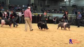 2014 Oklahoma Youth Expo Commercial Gilt Drive [upl. by Gabey720]