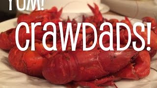 How to Cook Crawdads the Right Way [upl. by Essilevi186]