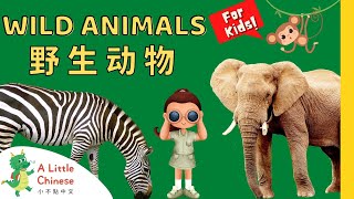 22 Wild Animals 野生动物  Simple Vocabulary in Chinese  Learn Chinese for Kids Toddlers amp Babies [upl. by Vadim]