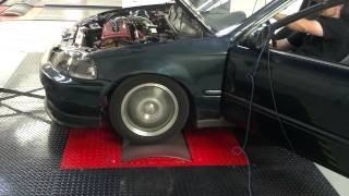 Pro 1 cams Gsr Dyno [upl. by Ludmilla]