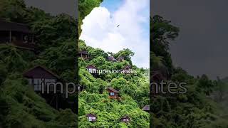 Hotel en la selva con vistas INCREÍBLES a la bahía shortsvideo [upl. by Atiner689]