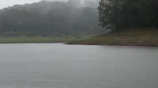 Thekkady boating is the best thing to watch animals [upl. by Vizzone612]