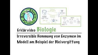 Erklärvideo Biologie – Irreversible Hemmung von Enzymen im Modell am Beispiel der Bleivergiftung [upl. by Rj]