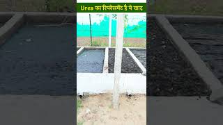 क्या Urea खाद का रिप्लेसमेंट है Vermicompost Organic Manure  Composting  AgriBusiness shorts [upl. by Yadsendew]