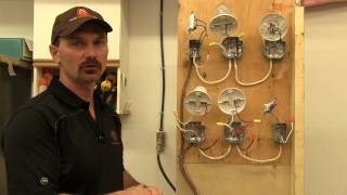 How To Wire A Single Pole Light Switch [upl. by Eslehc695]