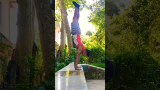 Ap1 handstand 🙌🏼 pushups 🤸🏼 calisthenics [upl. by Manny]