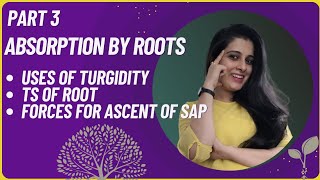 Absorption by Roots Uses of Turgidity TS of Root and Ascent of Sap  Class 10 ICSE Biology DRUB [upl. by Kenlay]