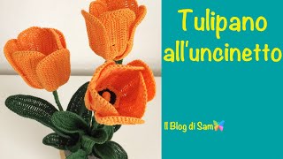 Spiegazione del Tulipano alluncinetto [upl. by Fiorenza]