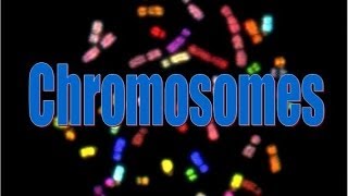 Chromosomes [upl. by Laraine]