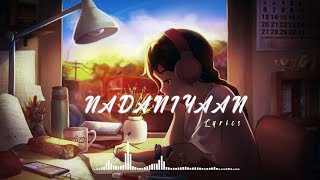 Nadaniyaan Lyrics Song [upl. by Ecnav547]