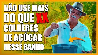 FAÇA DO JEITO QUE EU ENSINO PARA SENTIR A MUDANÇA NA ENERGIA NA HORA BANHO DE AÇÚCAR [upl. by Illehs6]