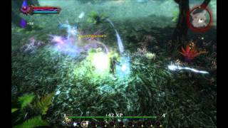 Kingdoms of Amalur Reckoning Mage gameplay Song of Sagrell boss fights [upl. by Weaks]