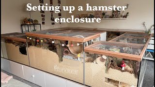 Setting up a hamster enclosure  Lottas enclosure [upl. by Hekker]