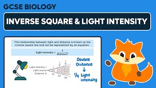 Inverse Square Law amp Light Intensity in Photosynthesis  GCSE Biology [upl. by Larok]