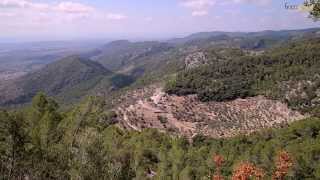 Alaró und Castell de Alaró  fincaprivatde [upl. by Eekcaj]