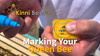 Marking Your Queen Bee for the First Time 2 Bees Marked [upl. by Dnalerb727]