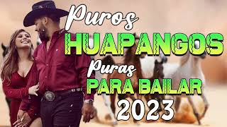 Huapangos Mix 2022 Pa Bailar Mayo Dj Alfonzin [upl. by Oberg]