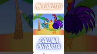 Gallina Pintadita Mi Gallito [upl. by Nwahsaj]