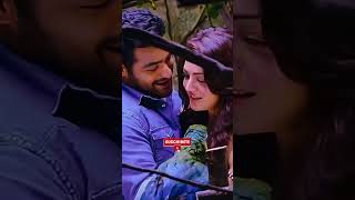 Nene Sensitive Anukunna Nakanna Sensitive Nuvvu  NTR Kajal Agarwal  L Rajeswar Rao [upl. by Olsen58]