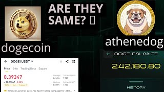 ATHENE NETWORK Is Athene DOGE the real dogecoin in major exchanges  athenenetwork athene dog [upl. by Marasco193]